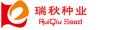 禪誠(chéng)