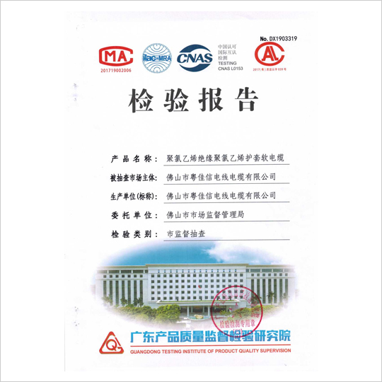 檢驗(yàn)報(bào)告