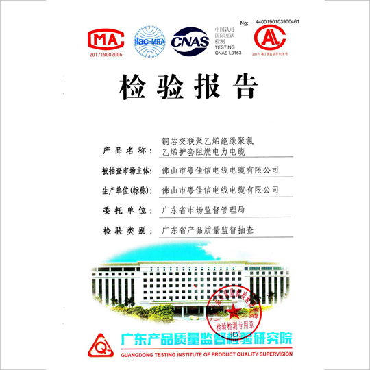 檢驗(yàn)報(bào)告